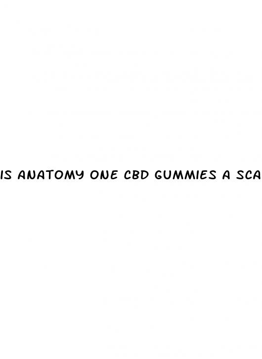 is anatomy one cbd gummies a scam