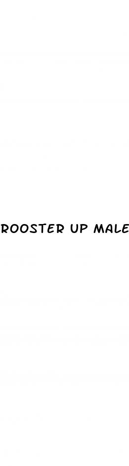 rooster up male enhancement pills