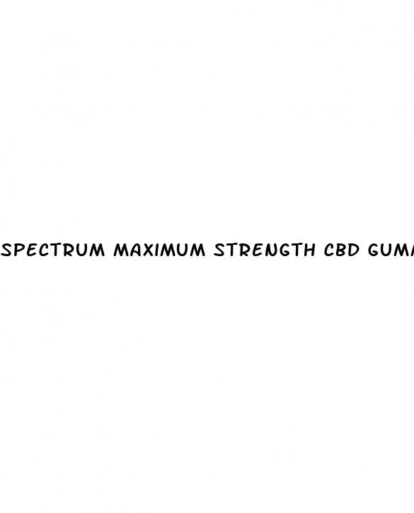 spectrum maximum strength cbd gummies