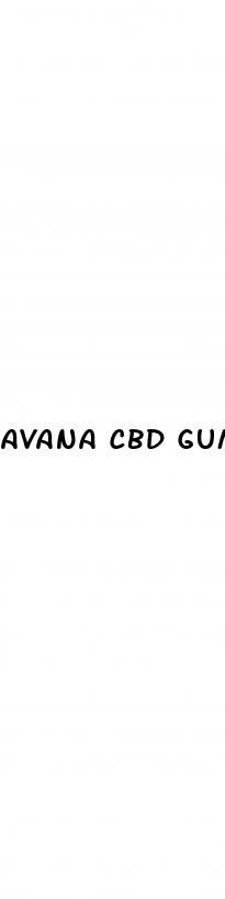 avana cbd gummies
