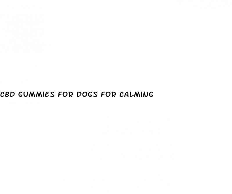 cbd gummies for dogs for calming