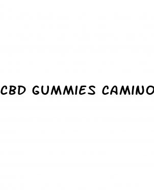 cbd gummies camino