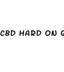 cbd hard on gummies