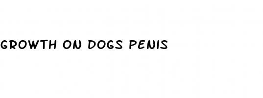 growth on dogs penis