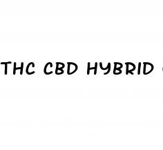 thc cbd hybrid gummies