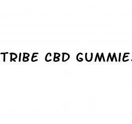 tribe cbd gummies