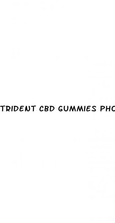 trident cbd gummies phone number