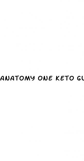 anatomy one keto gummies reviews