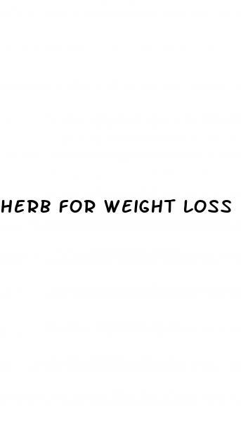herb for weight loss