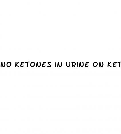 no ketones in urine on keto diet