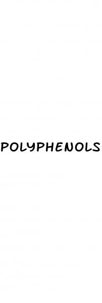 polyphenols weight loss