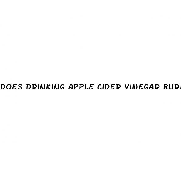 does drinking apple cider vinegar burn fat