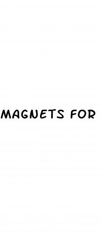 magnets for weight loss