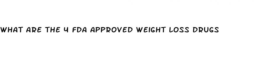 what are the 4 fda approved weight loss drugs
