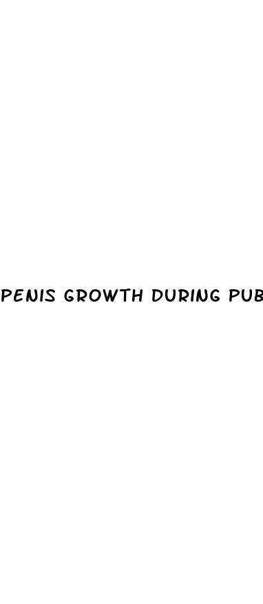 penis growth during puberty