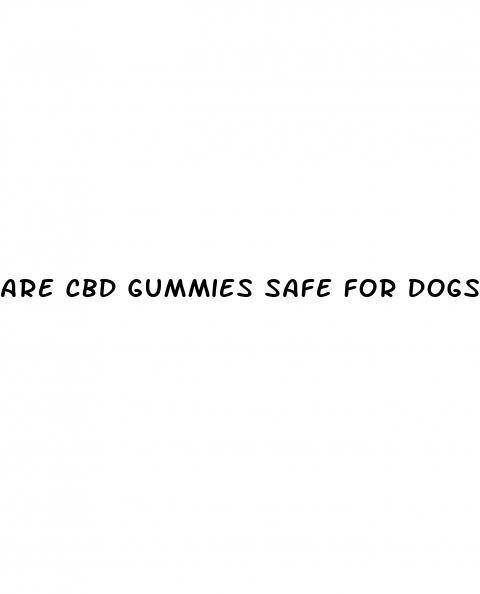are cbd gummies safe for dogs