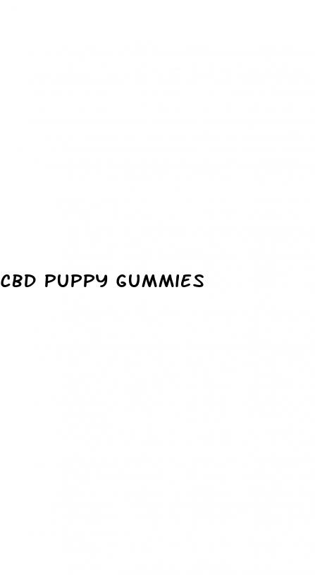 cbd puppy gummies