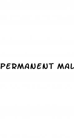 permanent male enhancement pills