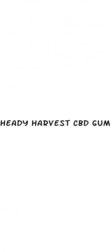 heady harvest cbd gummies