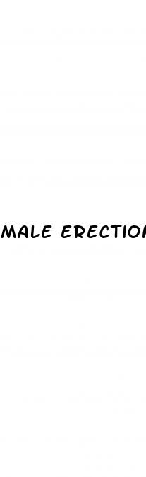 male erection pills gnc