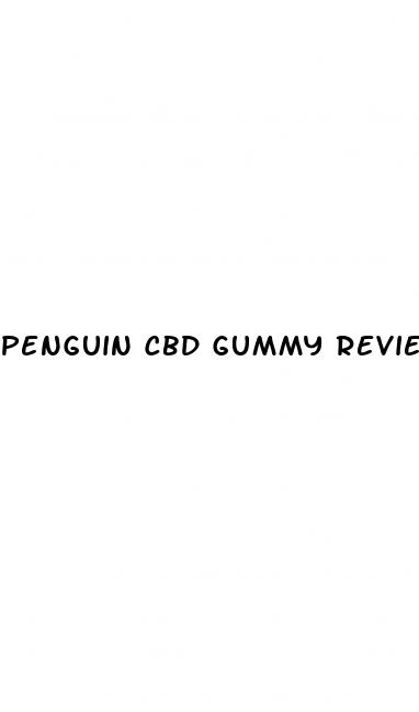 penguin cbd gummy review