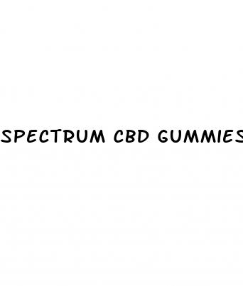 spectrum cbd gummies pure organic hemp extract 300mg