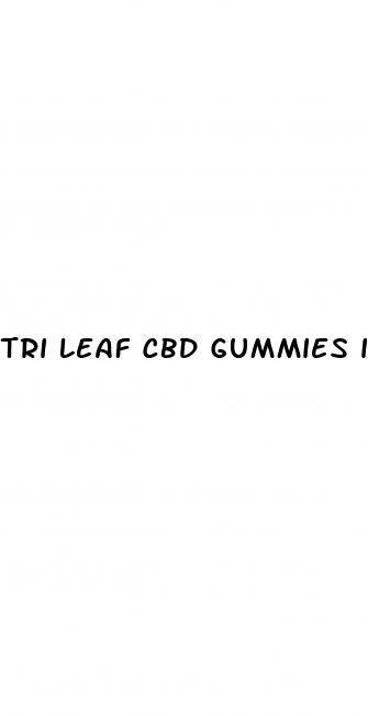 tri leaf cbd gummies ingredients