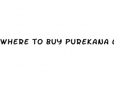 where to buy purekana cbd gummies near me