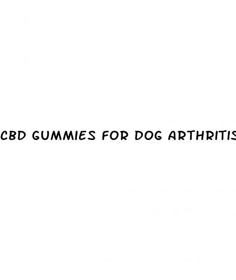 cbd gummies for dog arthritis