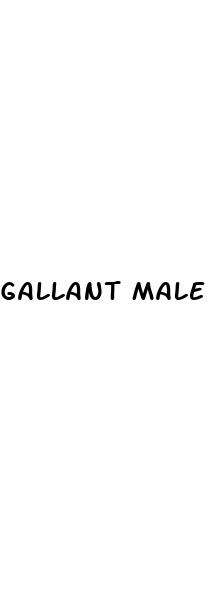 gallant male enhancement pills