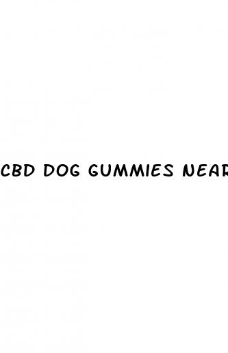 cbd dog gummies near me