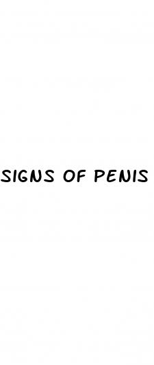 signs of penis growth
