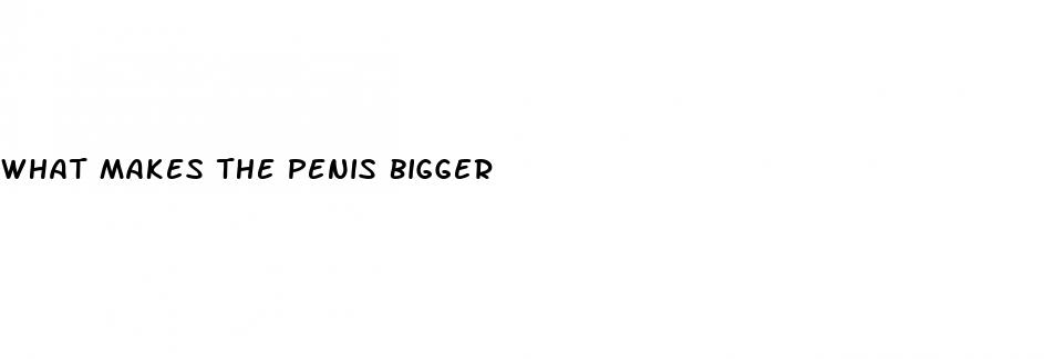 what makes the penis bigger