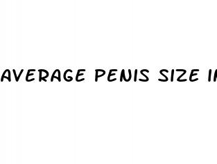 average penis size increases