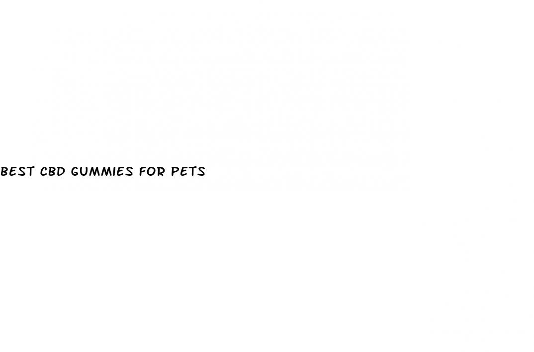 best cbd gummies for pets