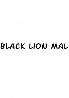 black lion male enhancement pill