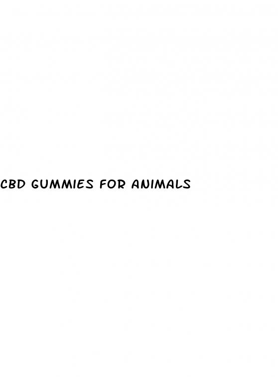 cbd gummies for animals