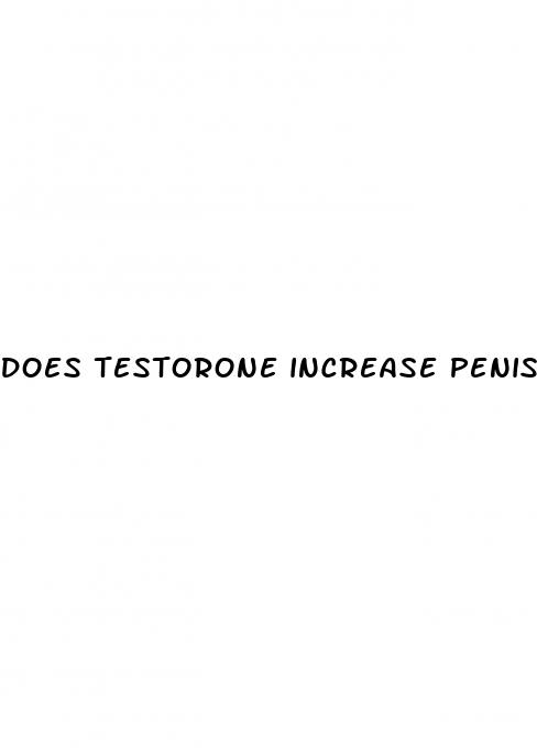 does testorone increase penis size