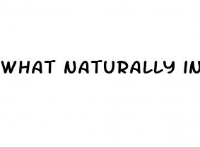 what naturally increases penis size