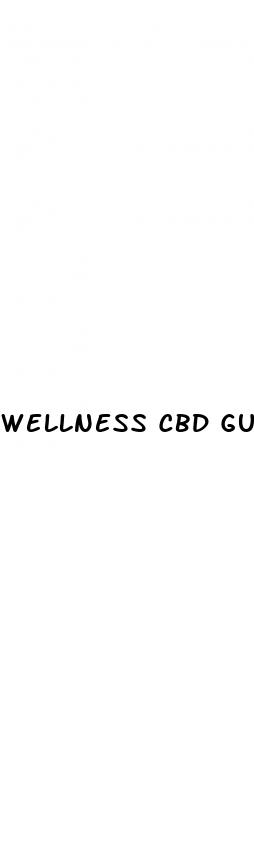 wellness cbd gummies 300mg