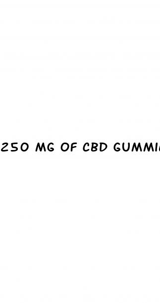 250 mg of cbd gummies