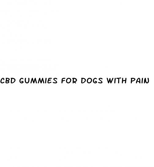cbd gummies for dogs with pain