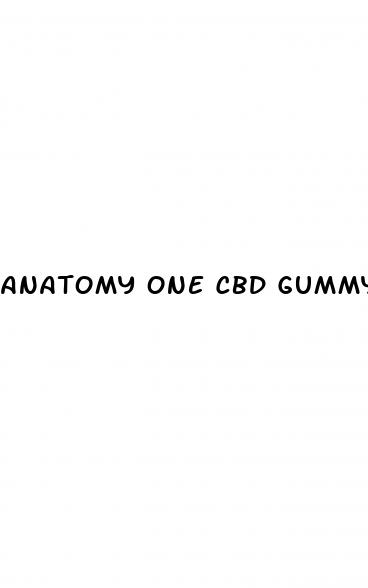 anatomy one cbd gummy s