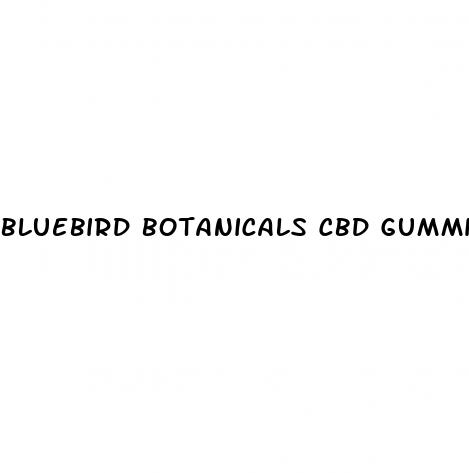 bluebird botanicals cbd gummies