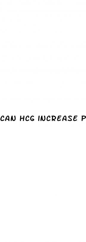 can hcg increase penis size