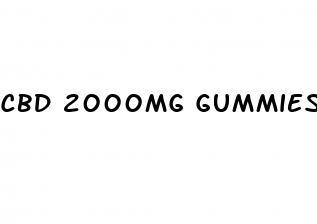 cbd 2000mg gummies