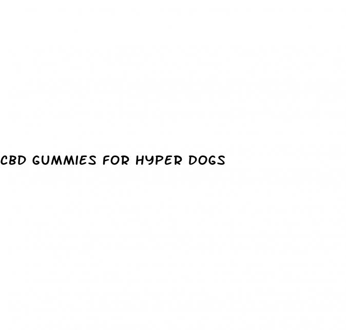 cbd gummies for hyper dogs