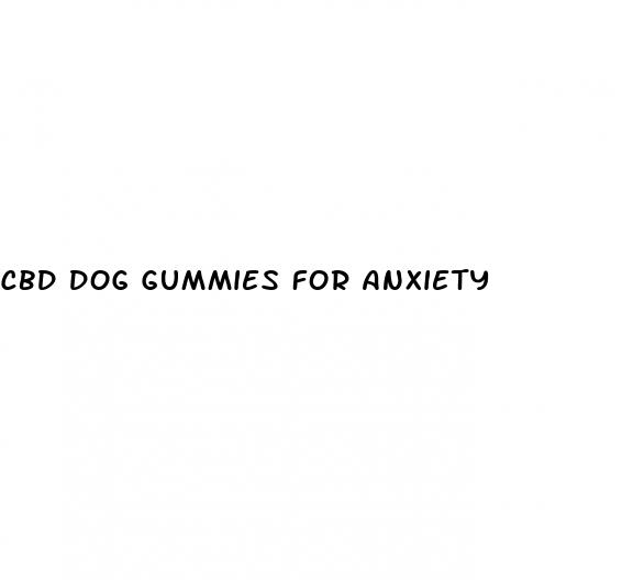 cbd dog gummies for anxiety