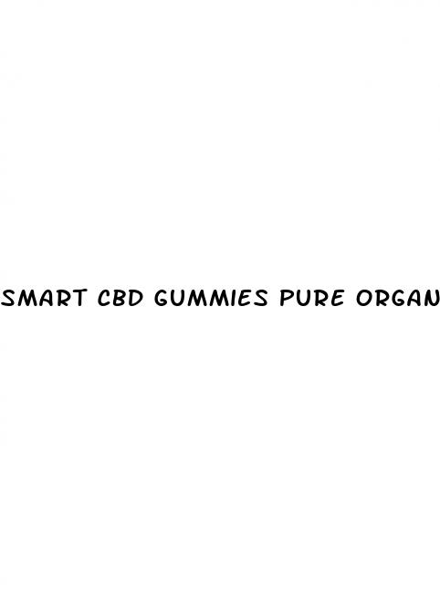 smart cbd gummies pure organic hemp extract 300mg