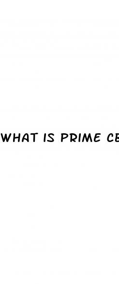 what is prime cbd gummies